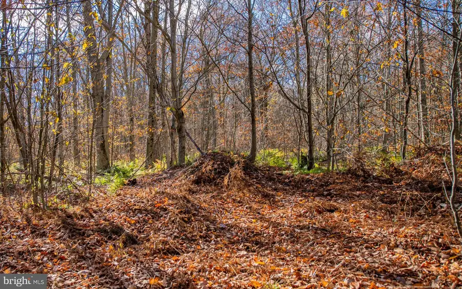 Parcel 030 Glory Ridge Rd, Shunk, PA 17768 - Image #3