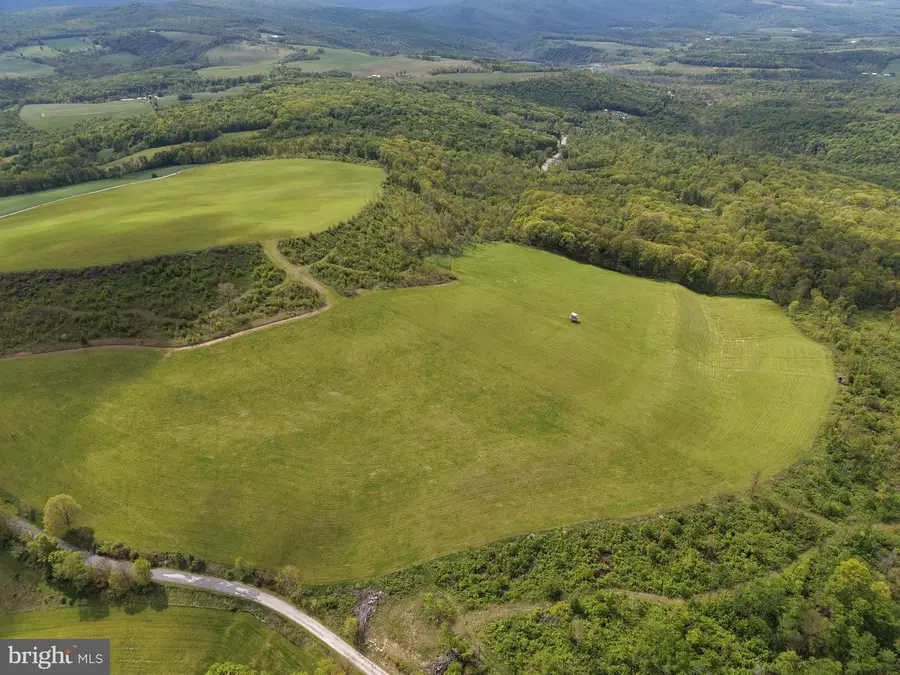 Tract 3: 48.25+/- Acres Grandview Dr, Hyndman, PA 15545 - #3