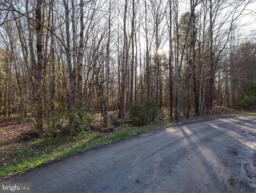 0 Twin Lakes Rd, Brackney, PA 18812 - #3