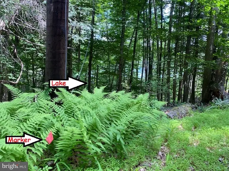 127 Sheridan Rd, Hawley, PA 18428 - Image #3