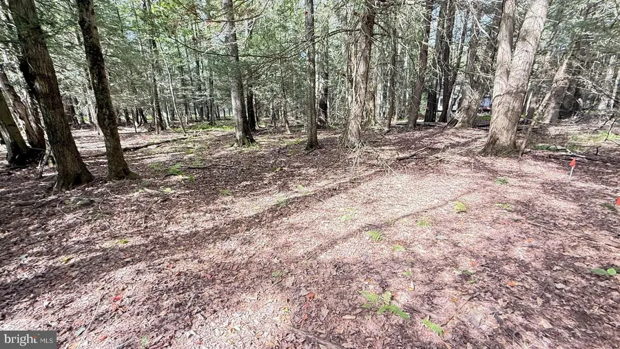 Lot 211-212 Aquaris Ln, Lake Ariel, PA 18436 - Image #3