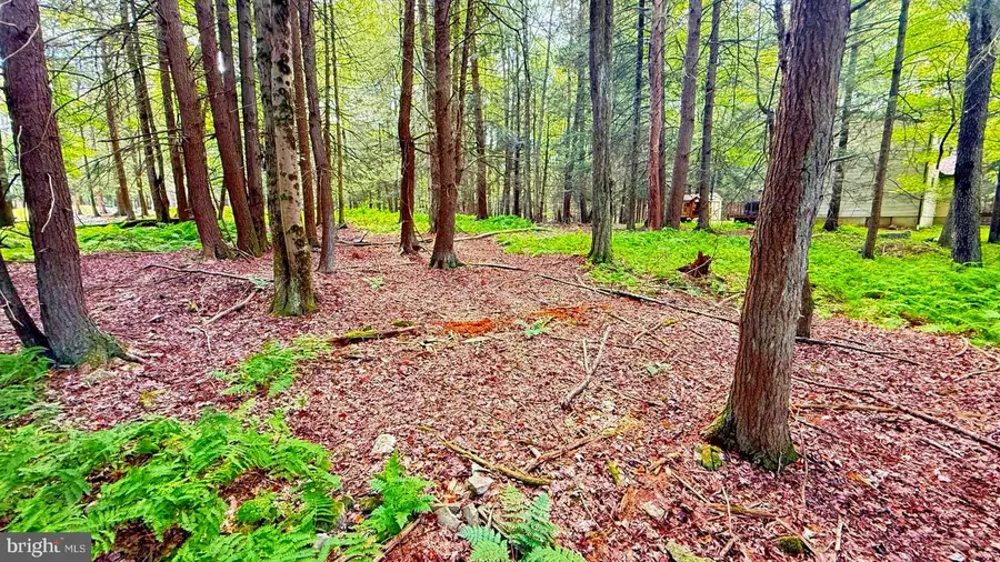 Lot 207 Cygnus Rd, Lake Ariel, PA 18436 - Image #3