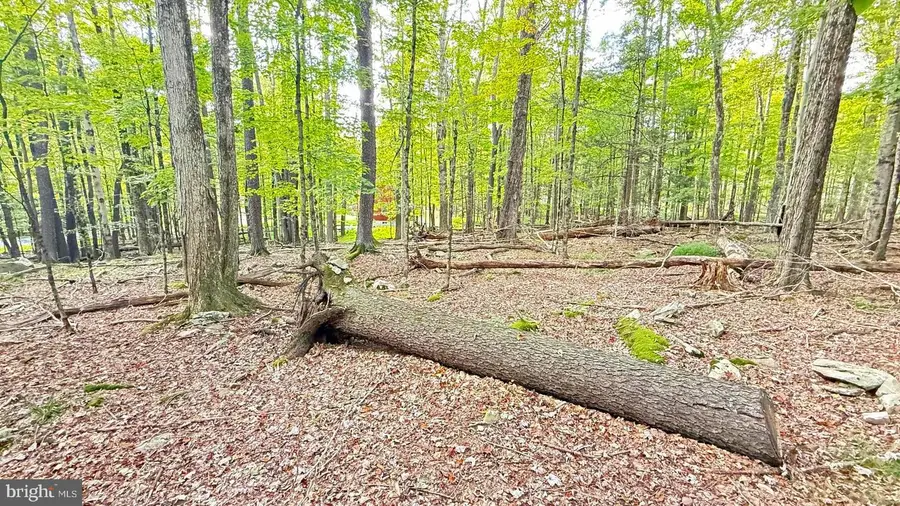 Lot 12 Andromeda Cir, Lake Ariel, PA 18436 - #3
