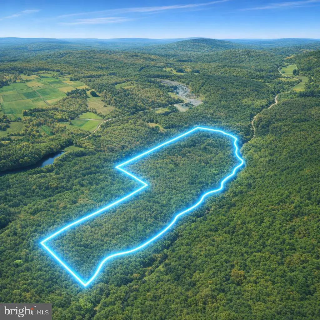 0 Crooked Creek Rd, Pleasant Mount, PA 18453 - #1