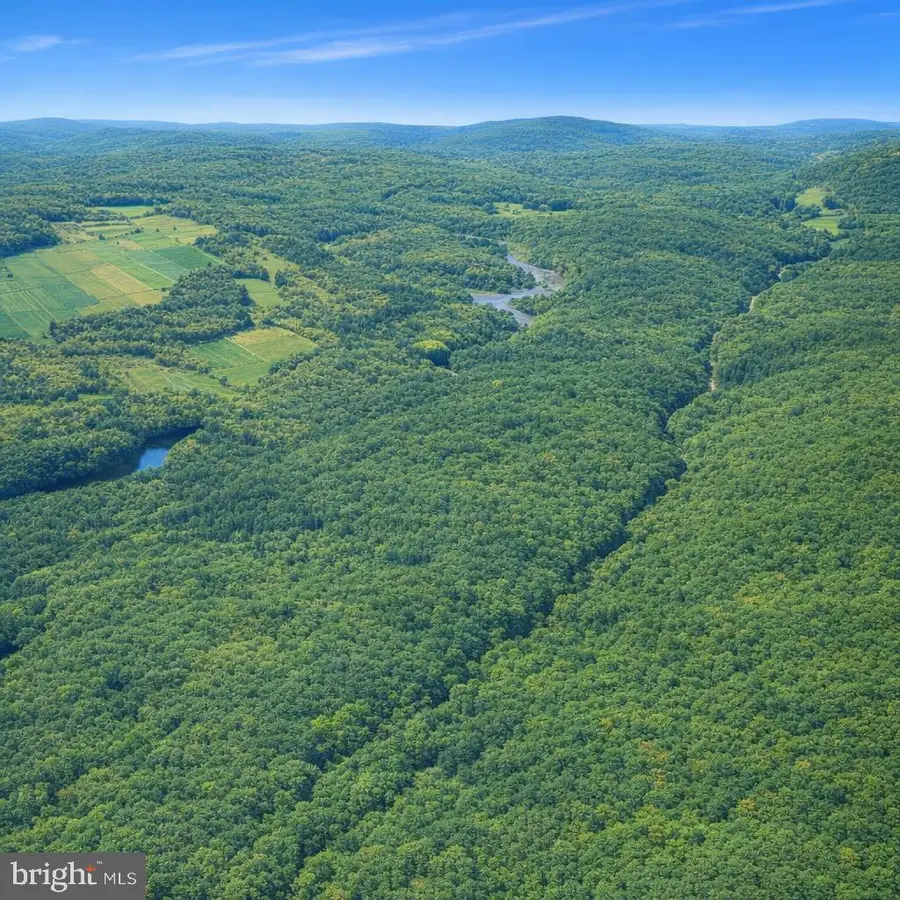 0 Crooked Creek Rd, Pleasant Mount, PA 18453 - #2