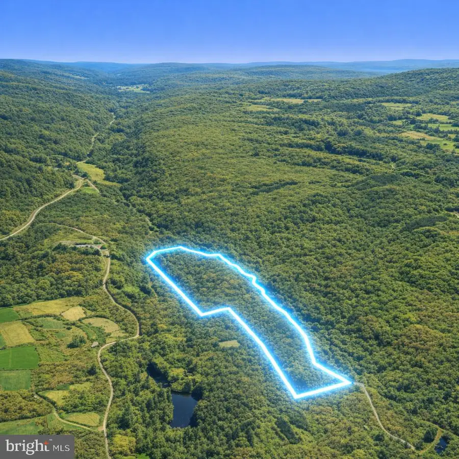 0 Crooked Creek Rd, Pleasant Mount, PA 18453 - #3