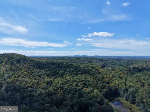 Fairmount Rd, STARRUCCA, PA 18462