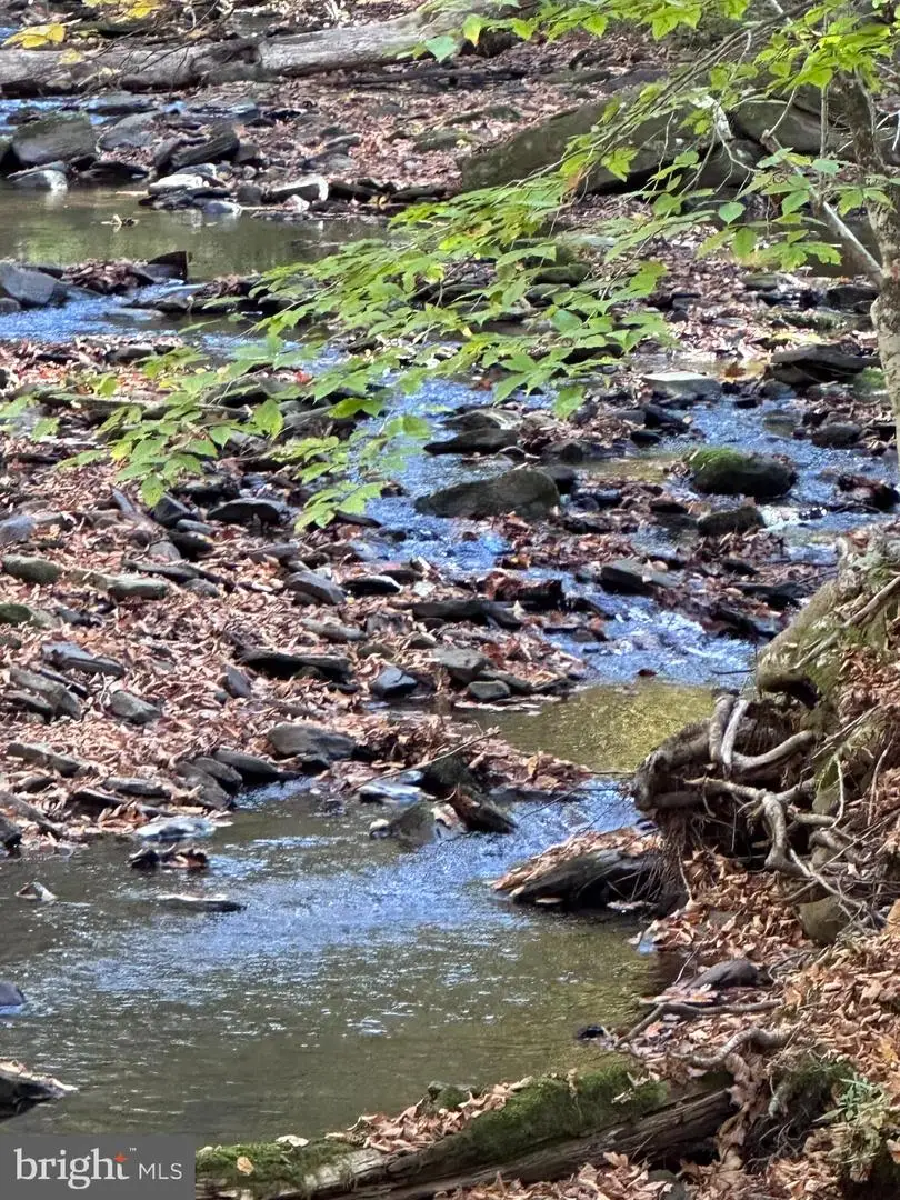 179 Banos Ln, Noxen, PA 18636 - #2