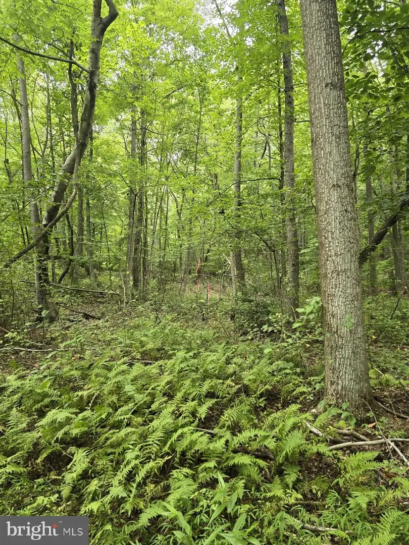 0 S Mountain Rd, Dillsburg, PA 17019 - Image #2