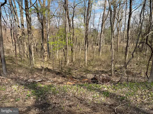Meadow Trl #lot 1, DILLSBURG, PA 17019