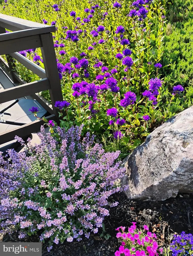 8 Hagarman Dr #8, York, PA 17408 - #3