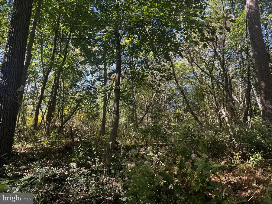 418 Mountain Rd, Dillsburg, PA 17019 - #3