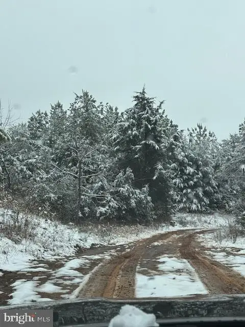 Mt Alto Rd, ESMONT, VA 22937