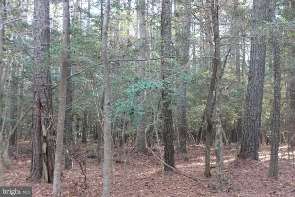 2033 Mayflower Dr, GREENBACKVILLE, VA 23356