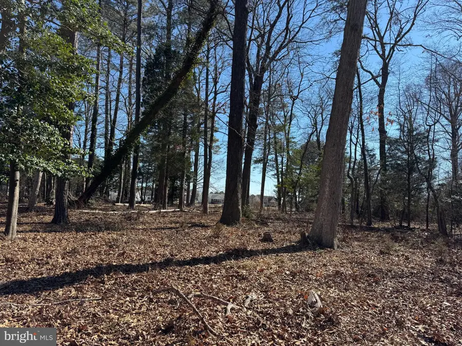 Lot 125 Main Sail Ct, Greenbackville, VA 23356 - Image #2
