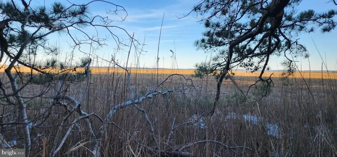 Lot 55 Neptune Dr, Greenbackville, VA 23356 - Image #1