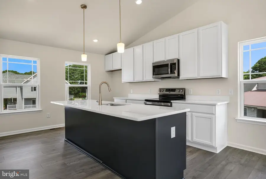 3221 Salty Way, Greenbackville, VA 23356 - #2