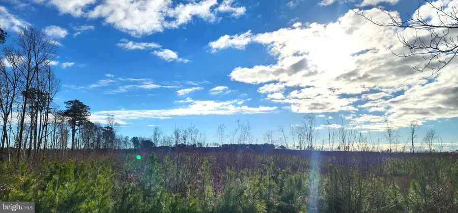 41 Saxis Road, Temperanceville, VA 23442 - Image #2