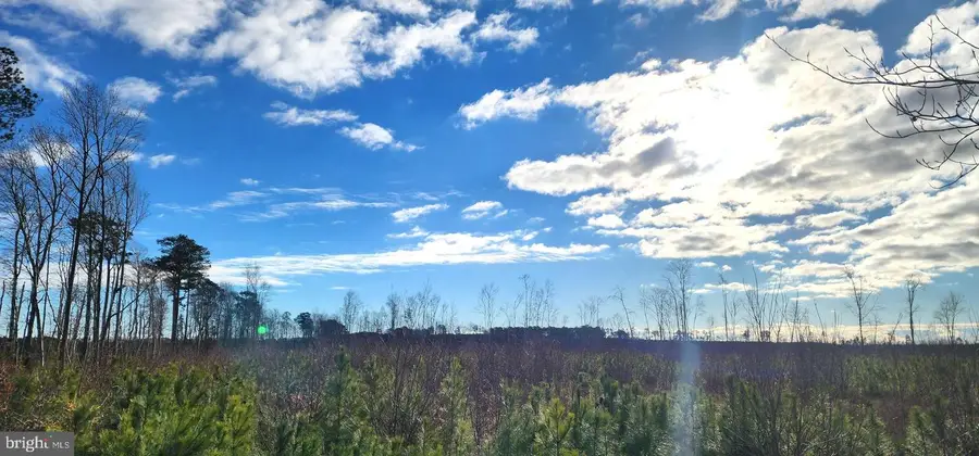 41 Saxis Road, Temperanceville, VA 23442 - Image #3