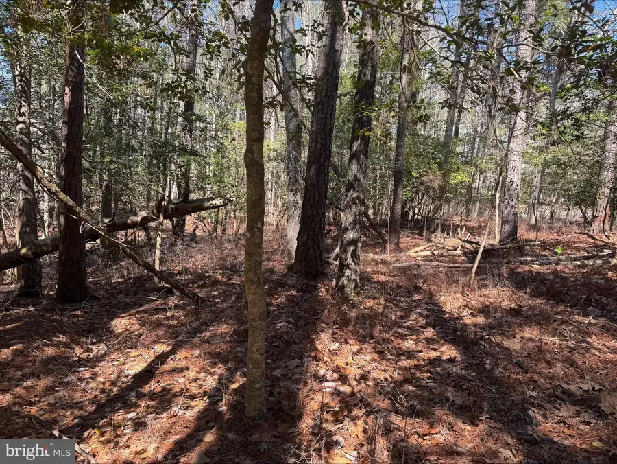 Lot 1897 Buccaneer Blvd, Greenbackville, VA 23356 - Image #2