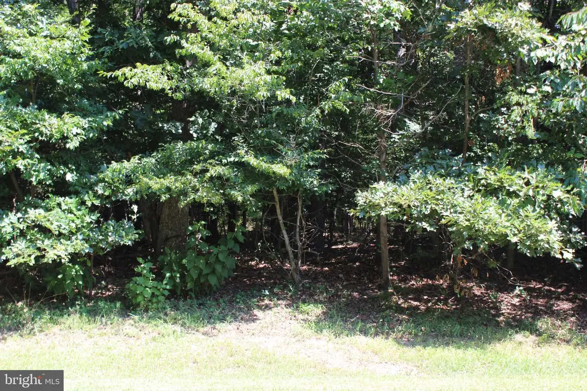 1851 Munity Dr, Greenbackville, VA 23356 - Image #1