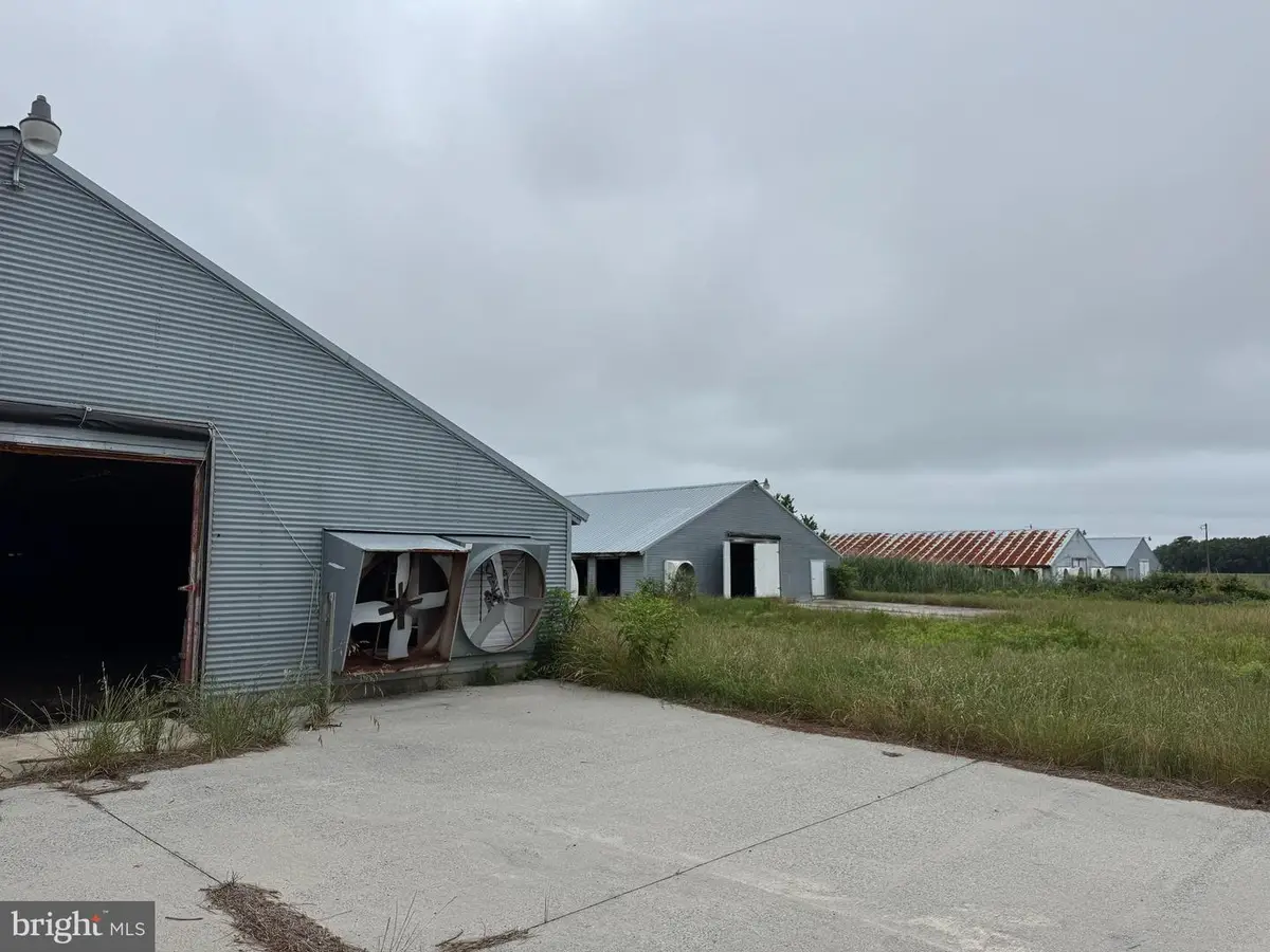 7193 Bullbegger Rd, Withams, VA 23488 - Image #1