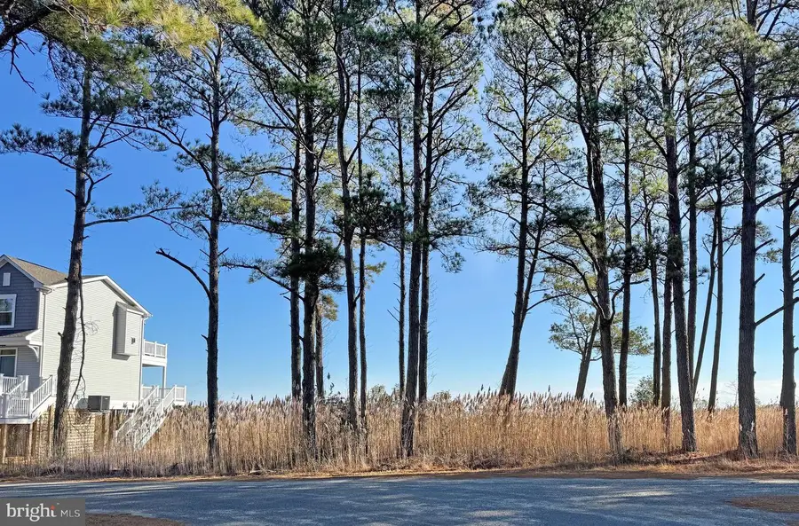 Lot 718 Castaway Dr, Greenbackville, VA 23356 - Image #2