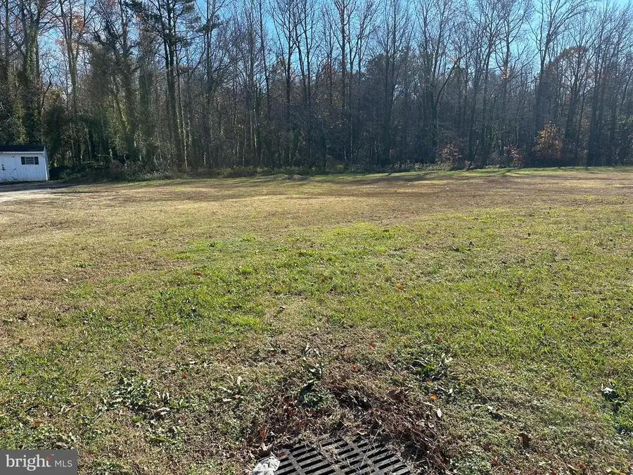 0 Lankford Hwy, Temperanceville, VA 23442 - Image #2