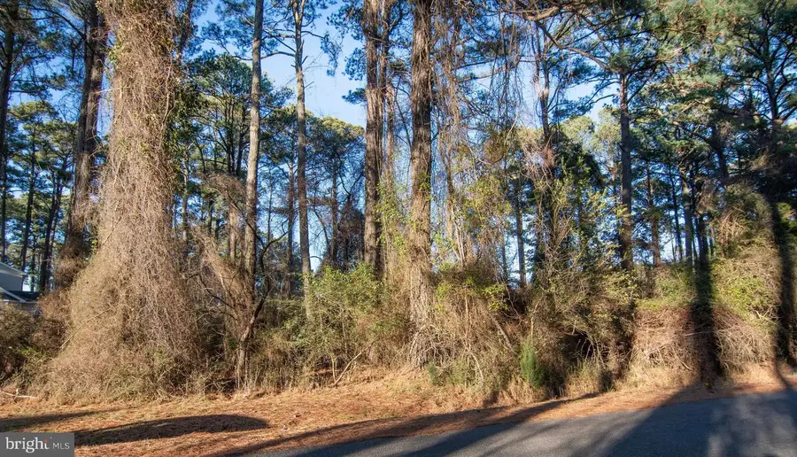 Lot 1098 Amidship Dr, Greenbackville, VA 23356 - Image #2