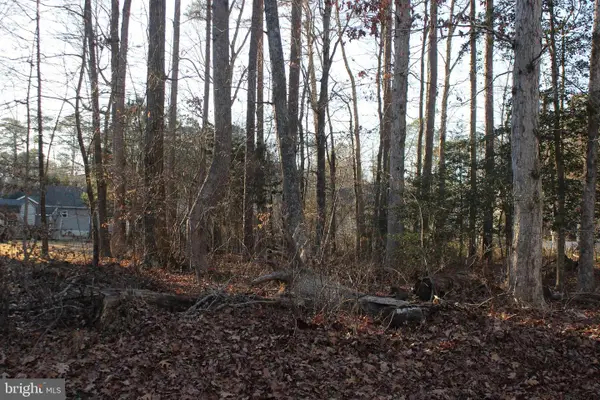 2375 Brigantine Blvd, GREENBACKVILLE, VA 23356