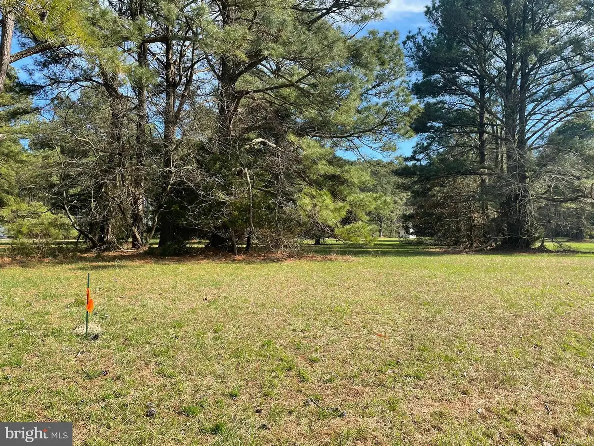 Lot 302 Underway Rd, Greenbackville, VA 23356 - #1