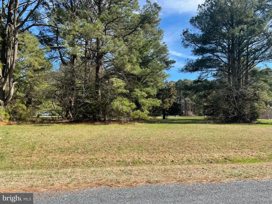 Lot 302 Underway Rd, Greenbackville, VA 23356 - #2