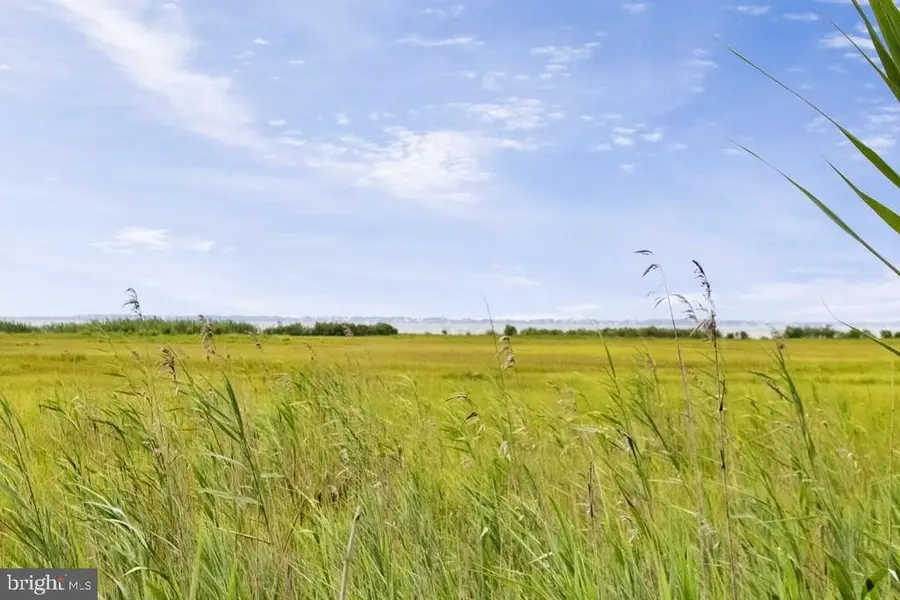 Lot 43 Neptune Dr, Greenbackville, VA 23356 - #2