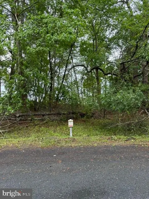 58 Neptune Dr, Greenbackville, VA 23356 - #2