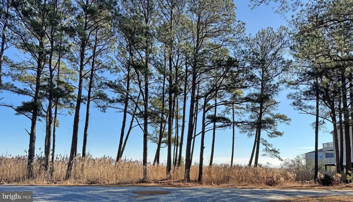 Lot 718 Castaway Dr, Greenbackville, VA 23356 - #1