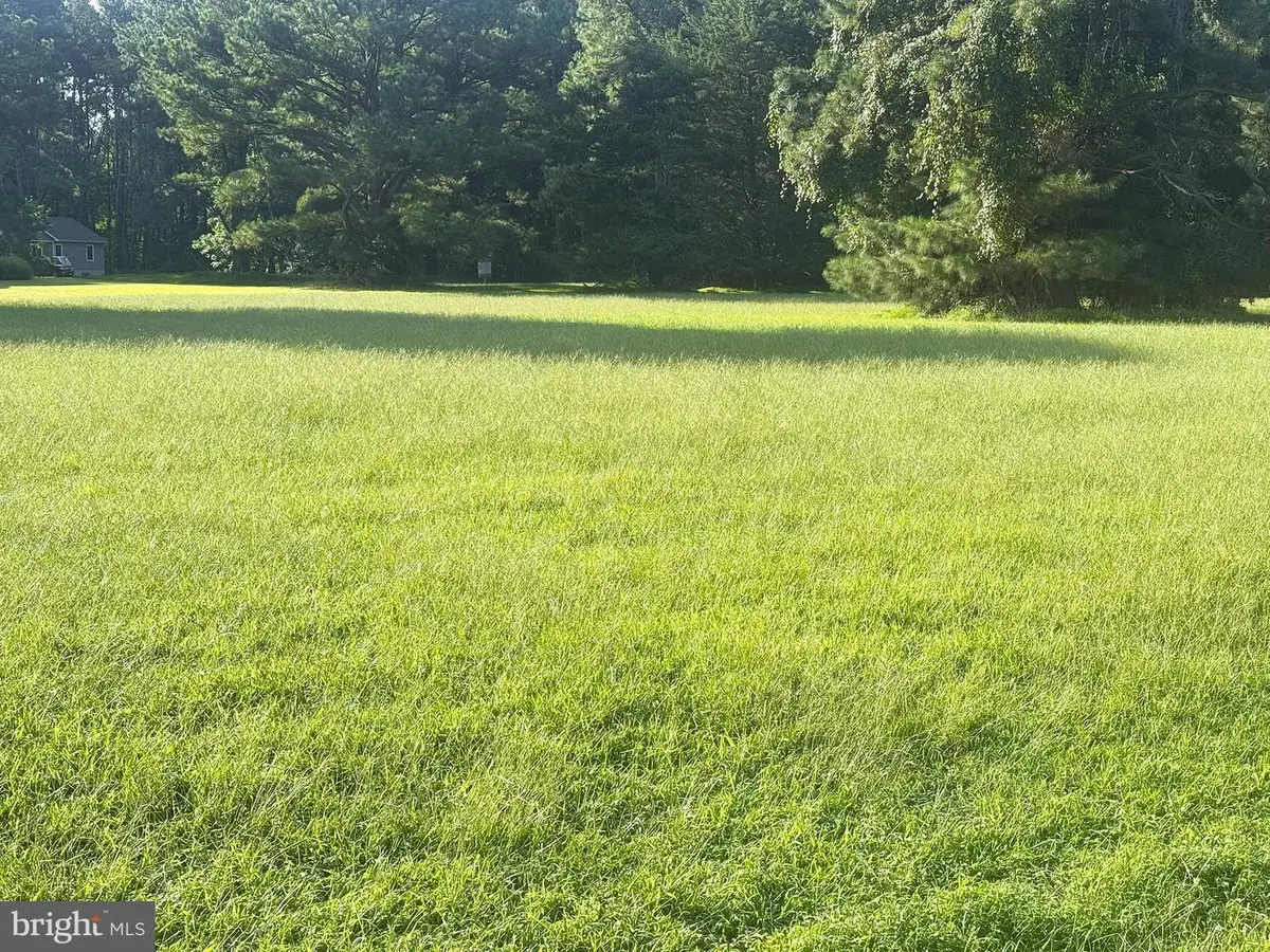 Lot 298 Underway Rd, Greenbackville, VA 23356 - #1
