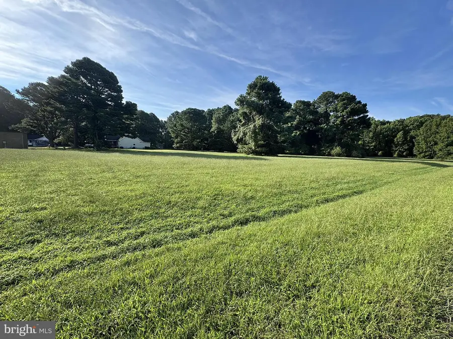 Lot 298 Underway Rd, Greenbackville, VA 23356 - #3