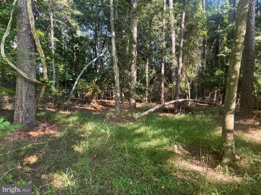 Lot 1076 Amidship Dr, Greenbackville, VA 23356 - #2