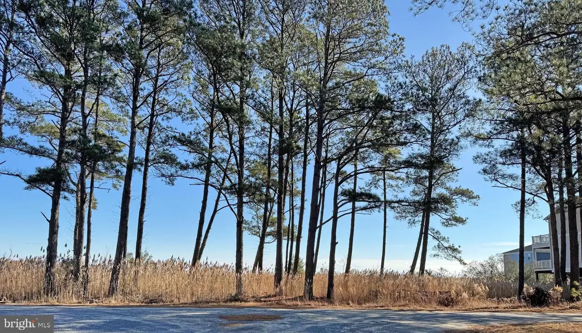 Lot 718 Castaway Dr, Greenbackville, VA 23356 - #1