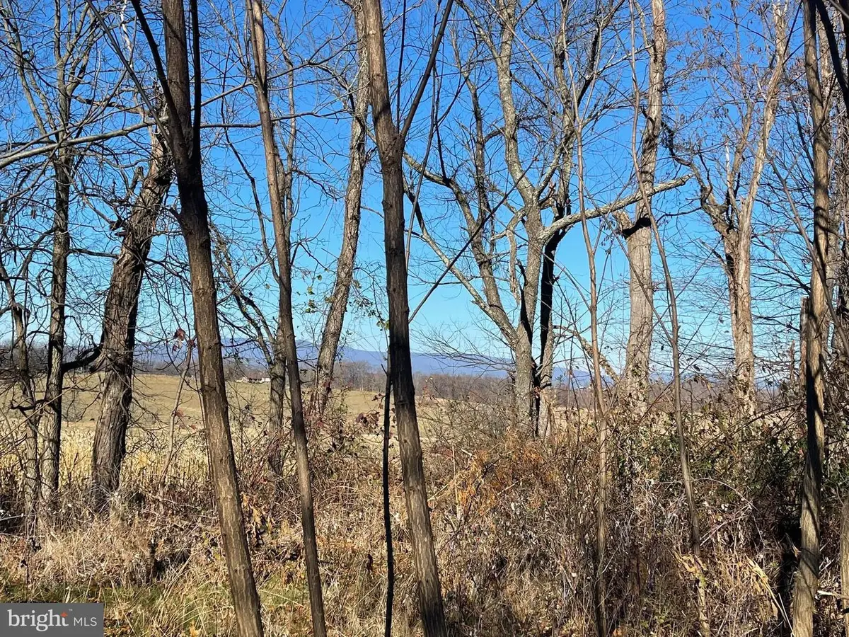 00 Chestnut Ridge Rd, Staunton, VA 24401 - Image #1