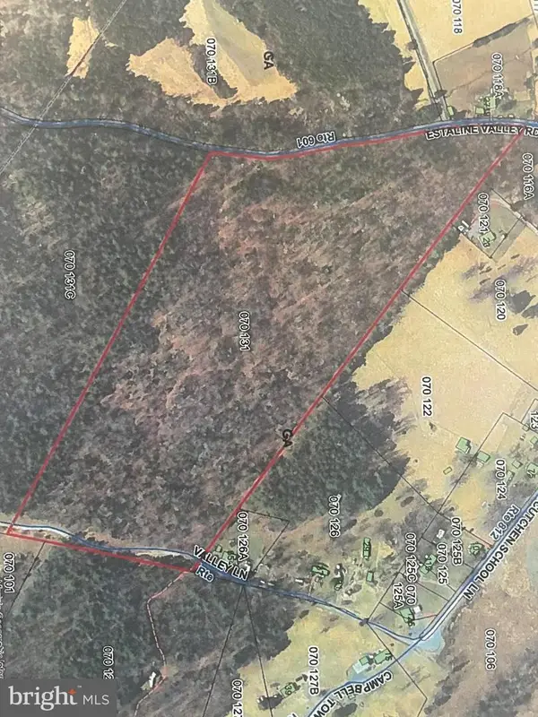 Estaline Valley Rd, CRAIGSVILLE, VA 24430