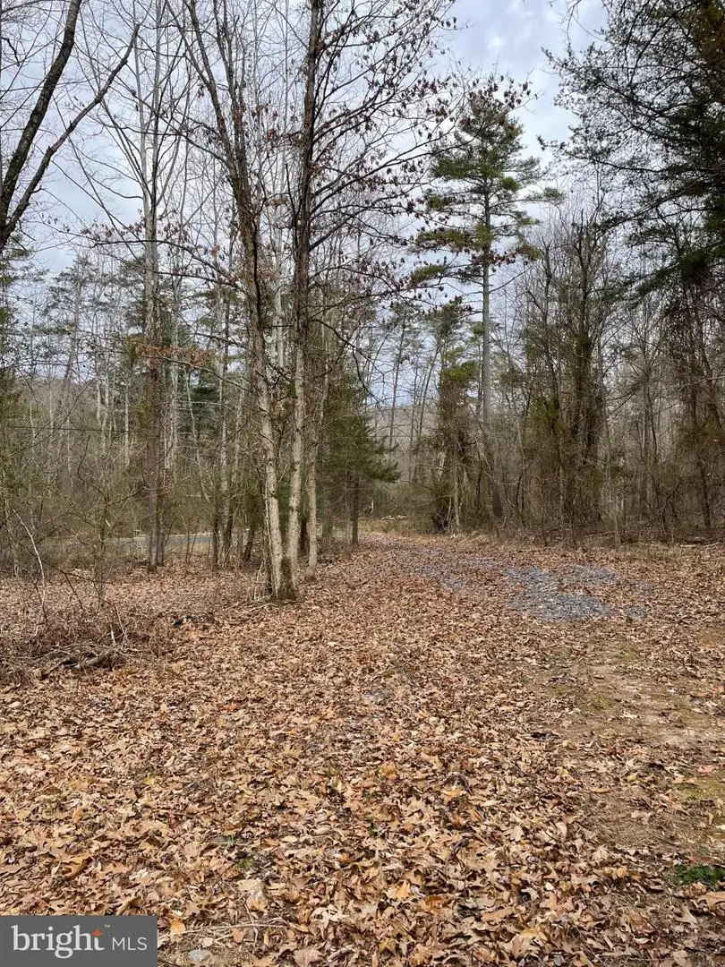 Estaline Valley Rd, Craigsville, VA 24430 - Image #2