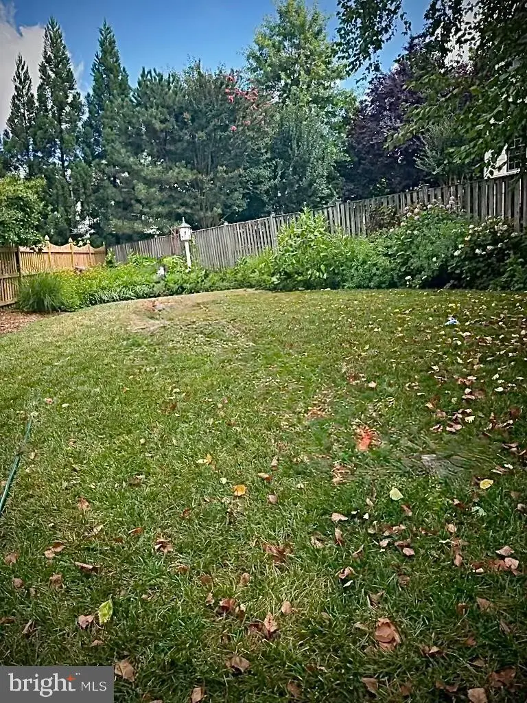 6907 30th St N, Arlington, VA 22213 - #2