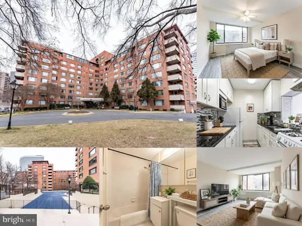1111 Arlington Blvd #828, ARLINGTON, VA 22209