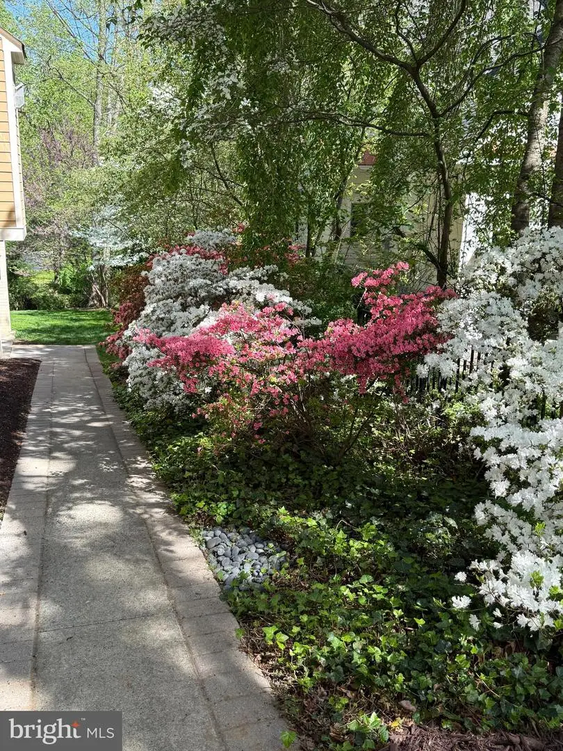 3651 N Harrison St N, Arlington, VA 22207 - #3