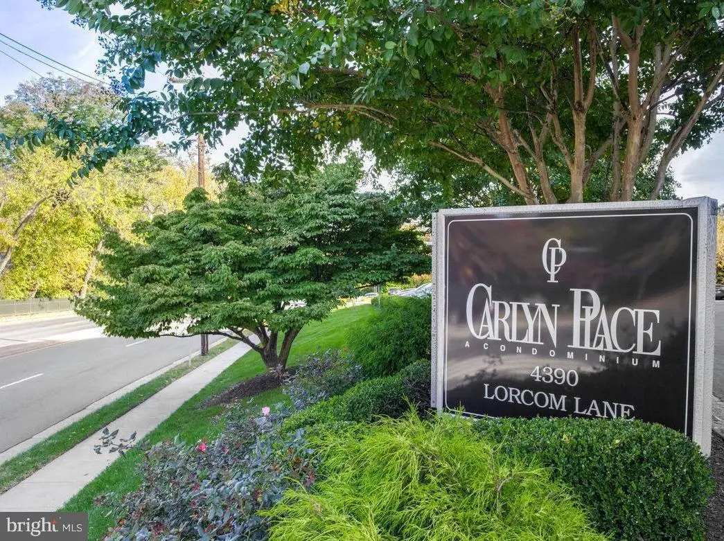 4390 Lorcom Ln #805, Arlington, VA 22207 - #1