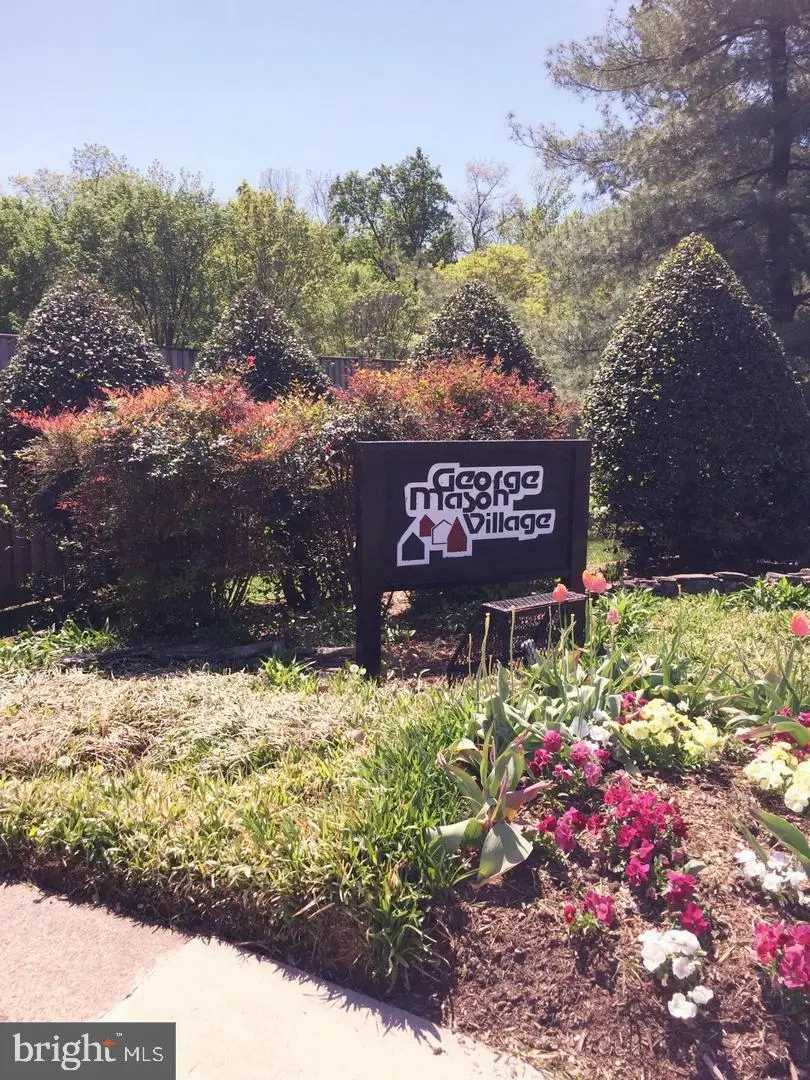 1519 S George Mason Dr S #21, Arlington, VA 22204 - #2