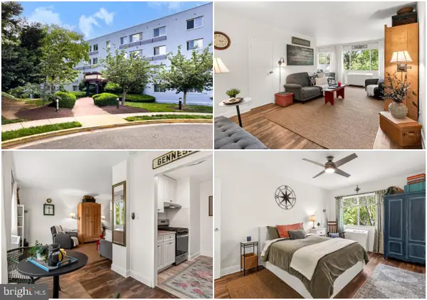3701 5th St S #501, ARLINGTON, VA 22204