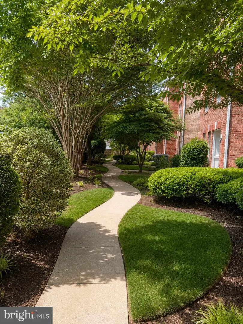 1910 N Adams St N, Arlington, VA 22201 - #2