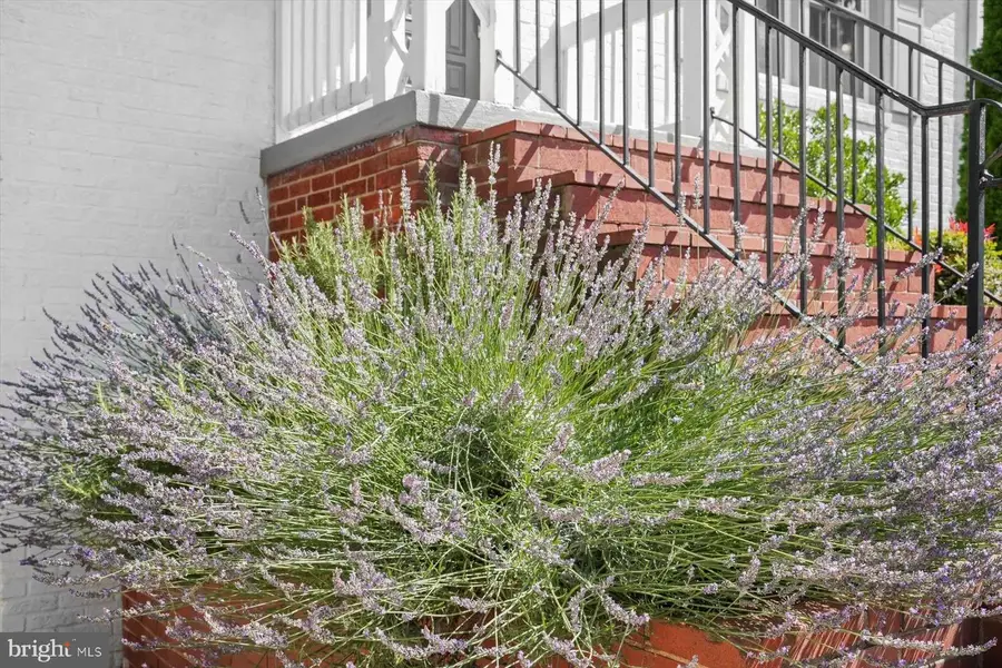 5501 11th St N, Arlington, VA 22205 - #3